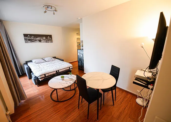 De Luxe Les Champs Elysees 2 Apartment